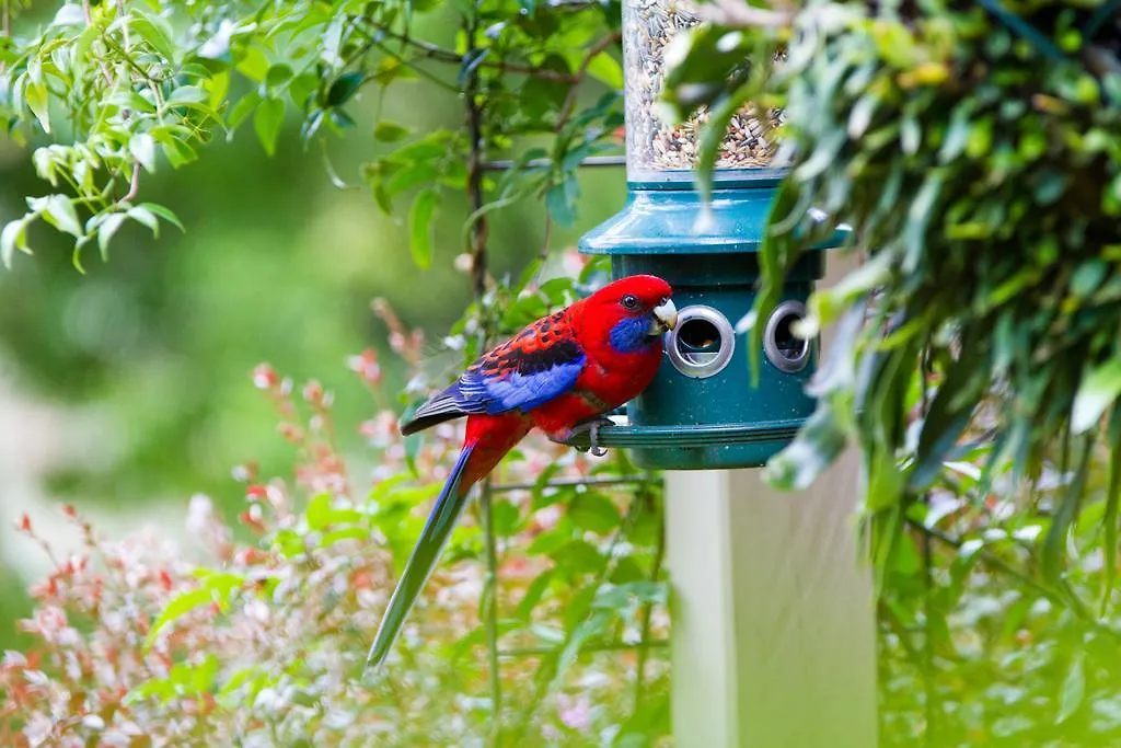Mt Glorious Getaways Villa Mount Glorious