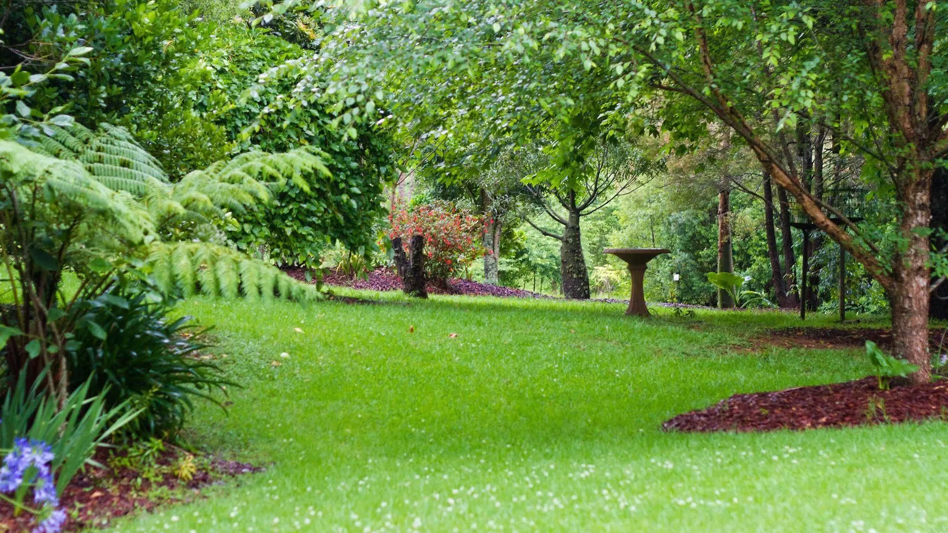 Mt Glorious Getaways Villa Mount Glorious